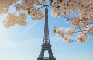 The Best Time to Visit Paris: A Seasonal Guide The Best Time to Visit Paris